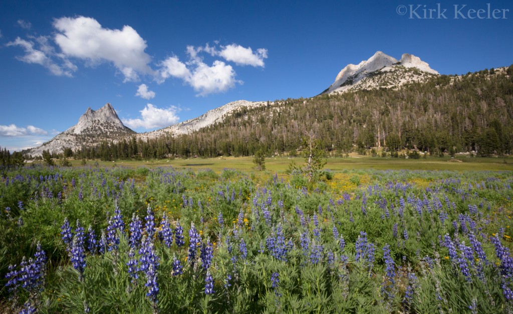 Lupine, Cathedral and Echo Peaks, Cathedral Pass
