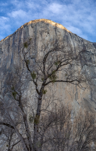 First Light, El Capitan, Yosemite Valley